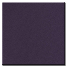 aubergine